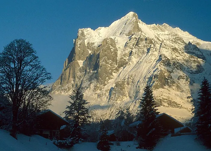 Pfaffenstoeckli Apartment